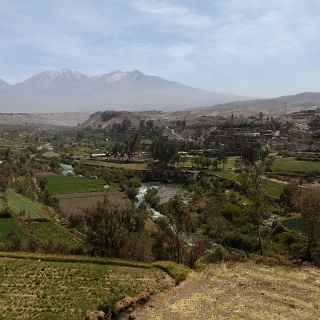 0006_IMG_9081_Perou