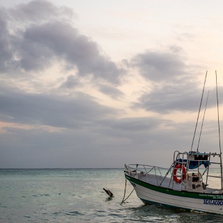 0009-_D3_7660-Playa_del_Carmen