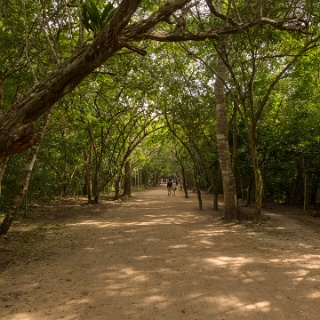 0001-_D3_7837-Coba