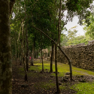 0005-_D3_7848-Coba